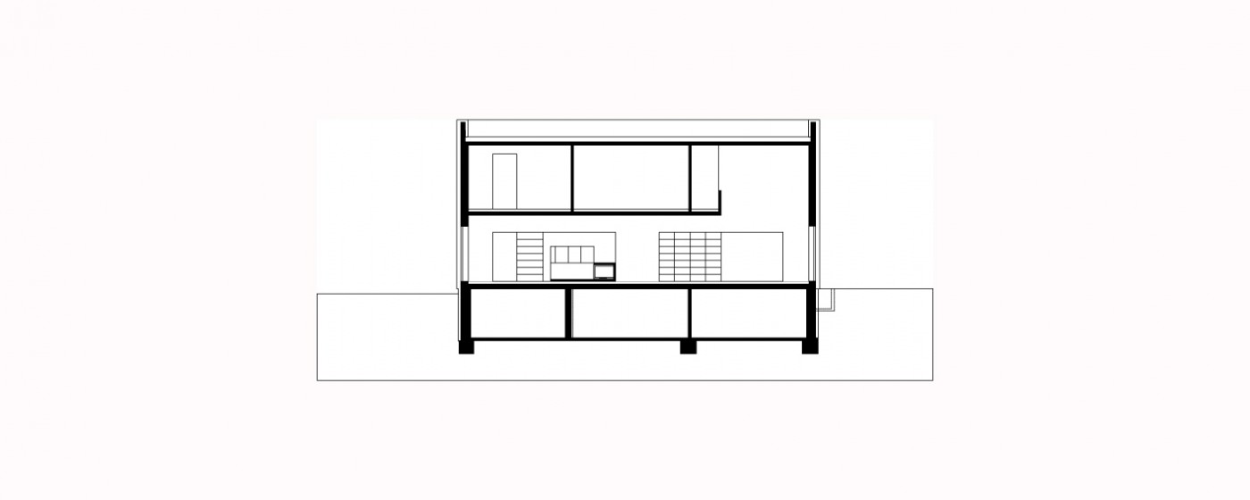 longitudinal section